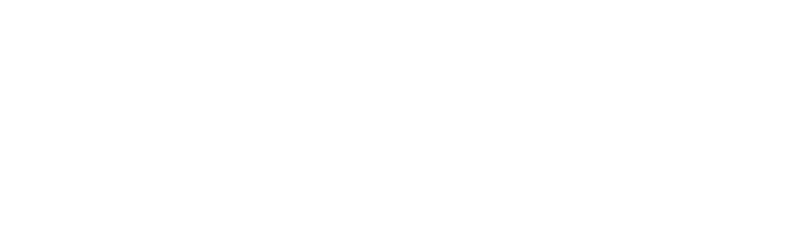 Stellar Cyber